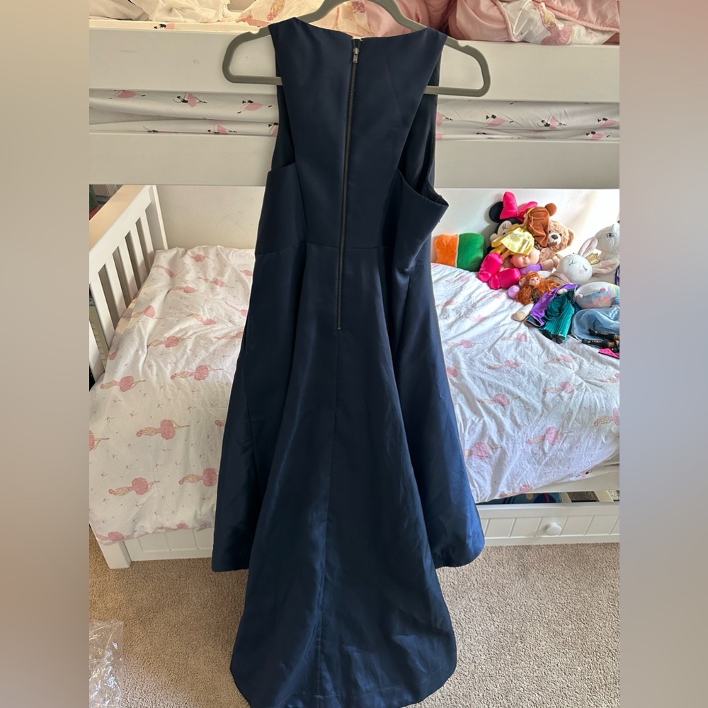 Adrianna Papell gown